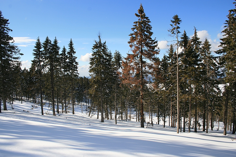 Turbacz 22.03.08 111